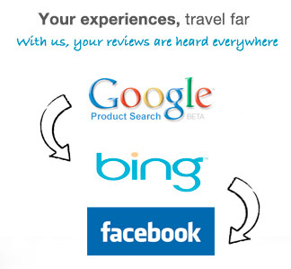 google-bing-logo